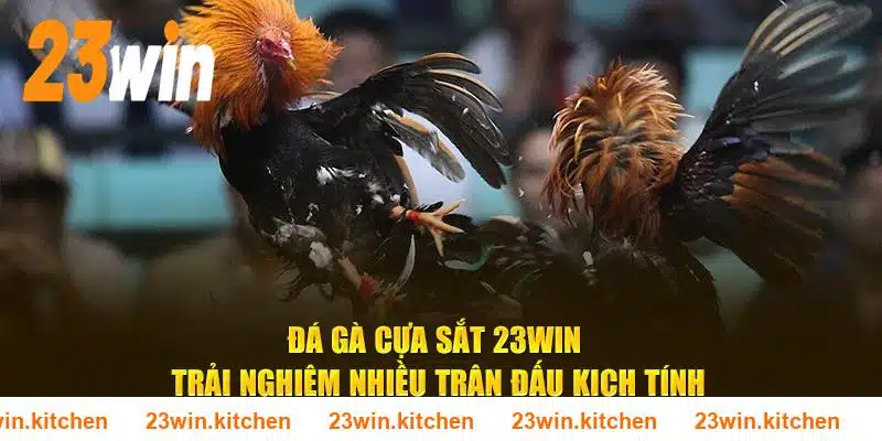 Đá Gà Cựa Sắt 23WIN Trải Nghiệm Nhiều Trận Đấu Kịch Tính